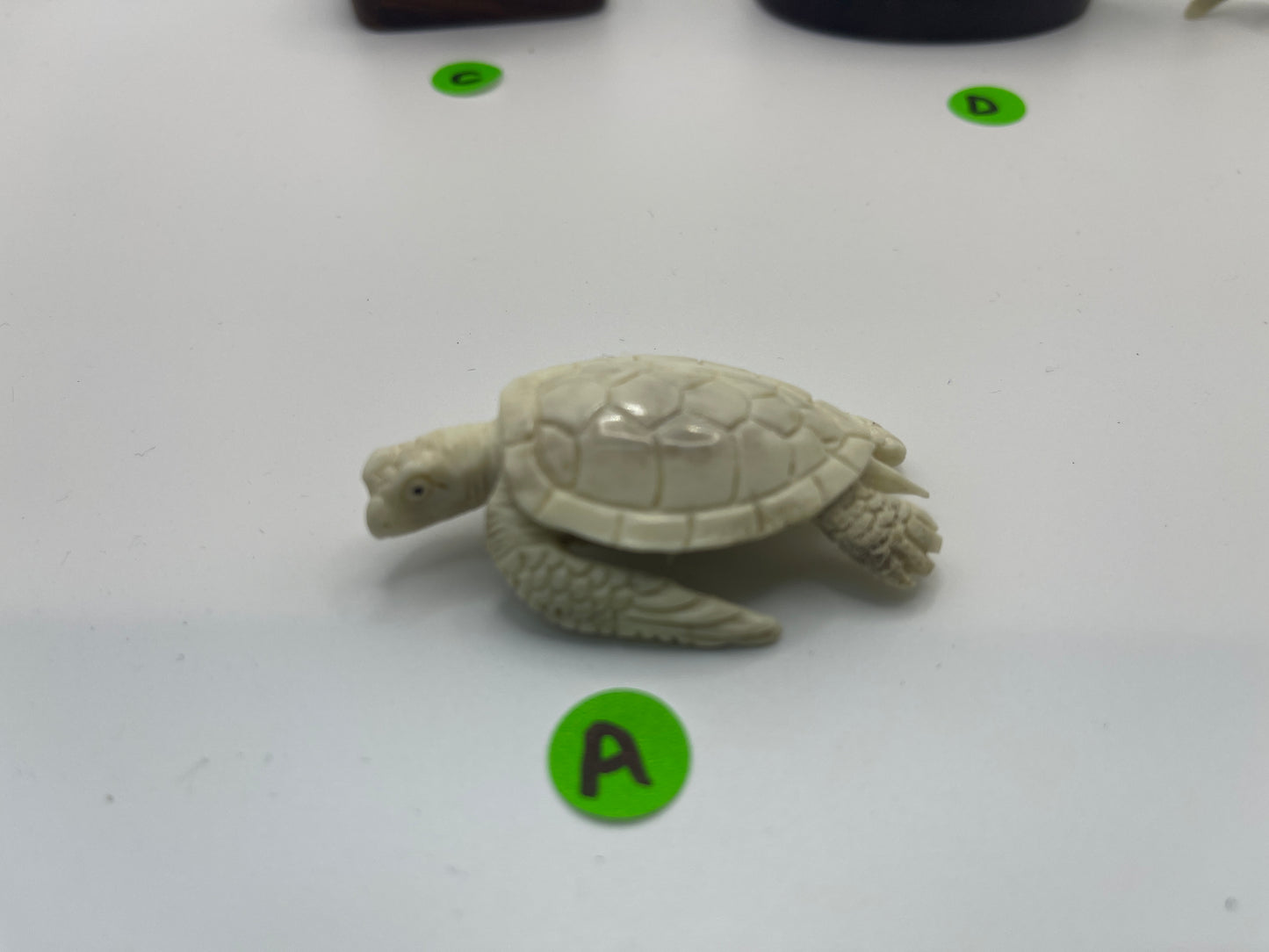 Antler Turtle