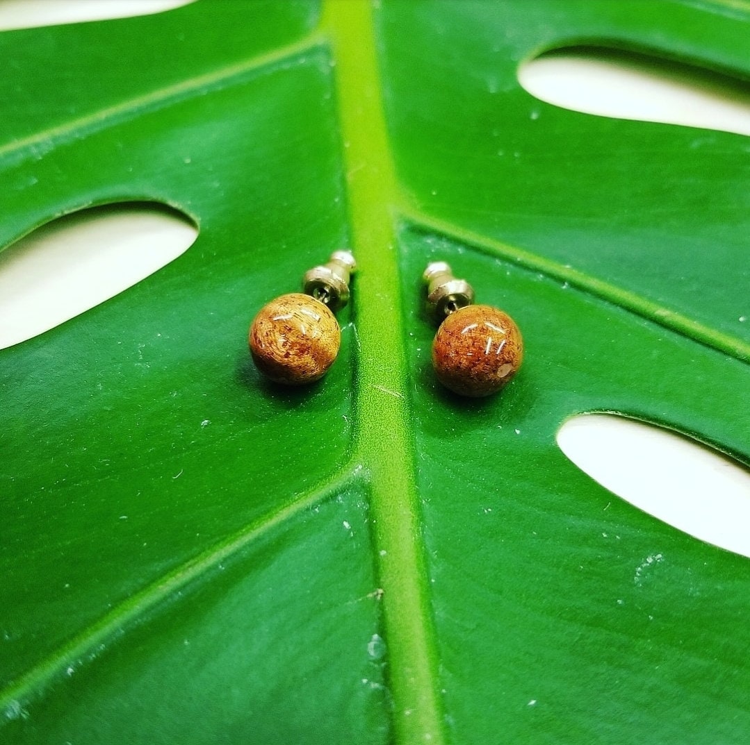 Koa Wood 8mm Round Earrings