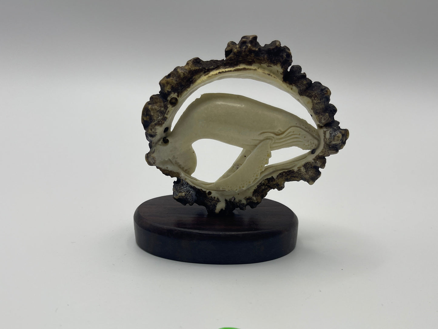 Antler Humpback Whale
