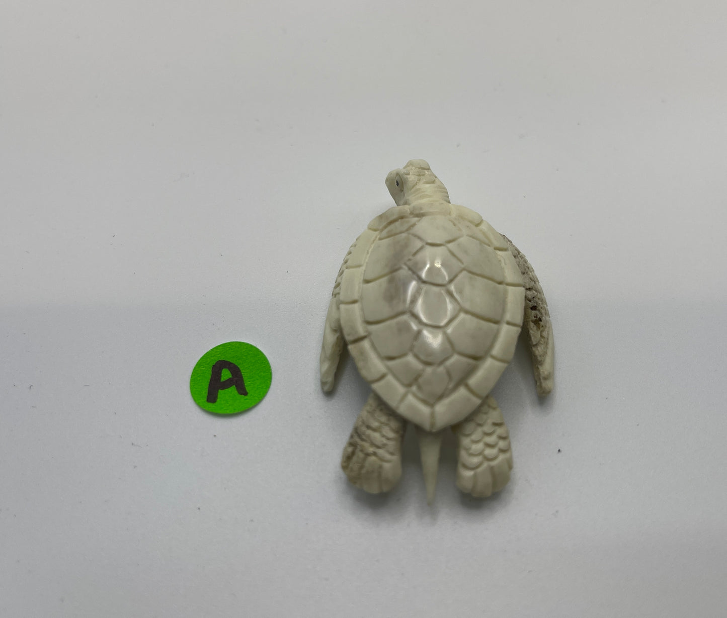 Antler Turtle